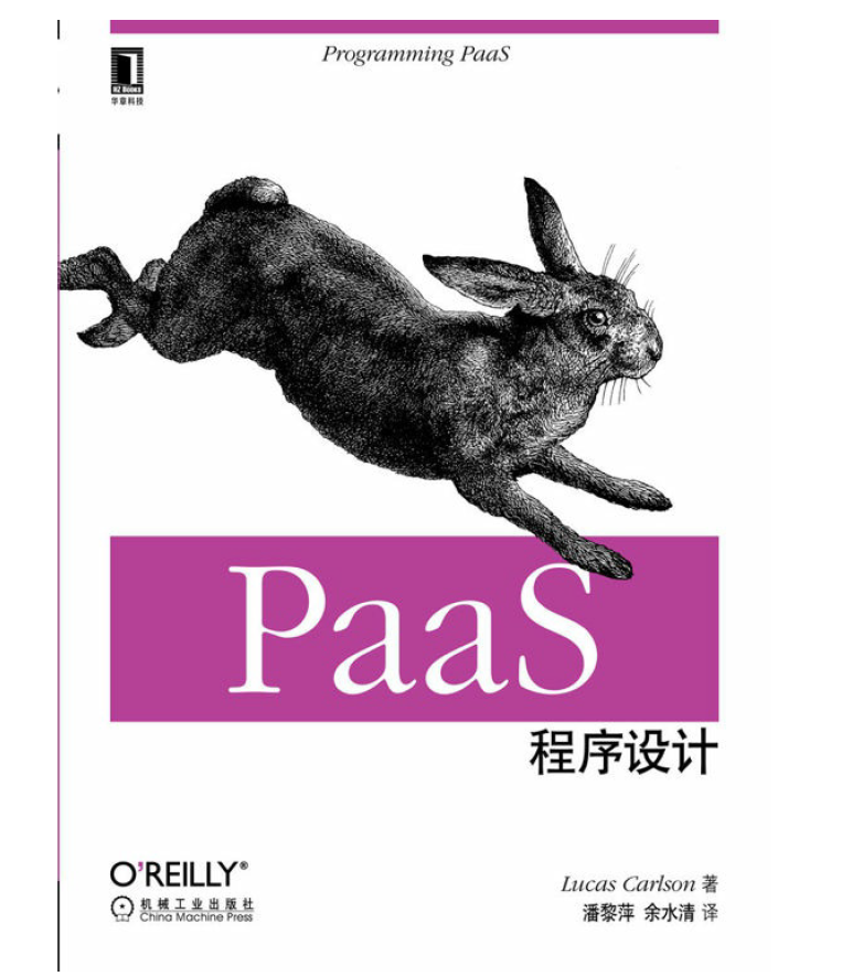 PaaS程序设计 PDF 下载