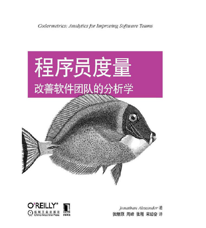 程序员度量 改善软件团队的分析学  PDF下载