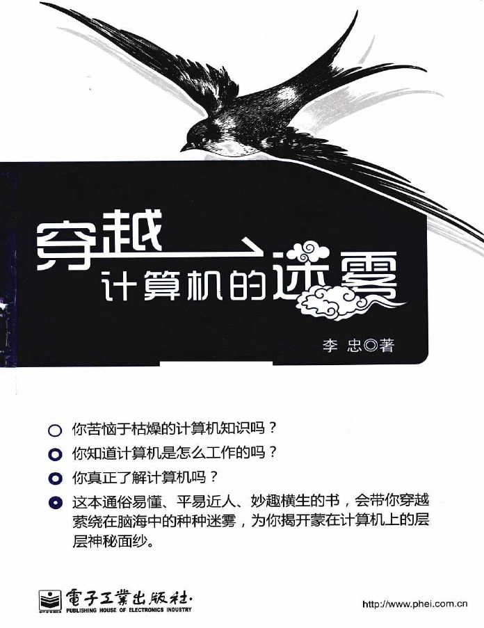 穿越计算机的迷雾 PDF下载