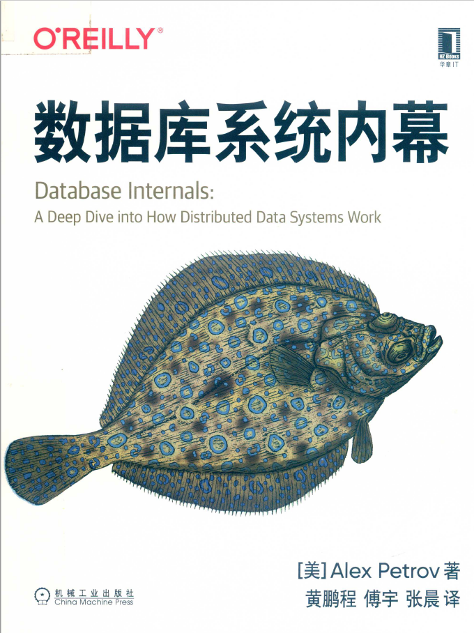 数据库系统内幕  PDF下载