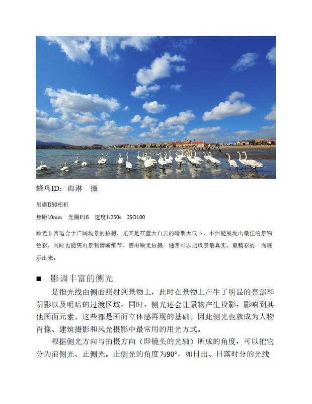 蜂鸟摄影学院单反摄影宝典插图1 25003507130