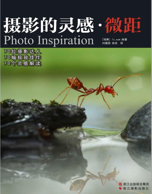 摄影的灵感-微距