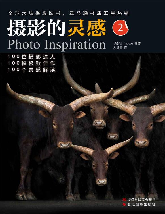 摄影的灵感第二部