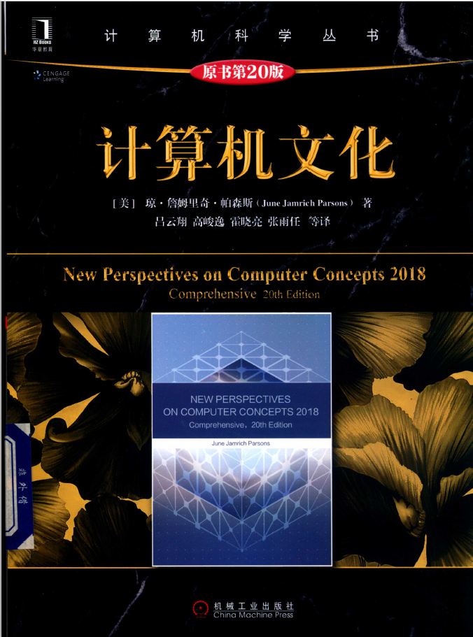 计算机科学丛书 计算机文化 原书第20版 PDF下载