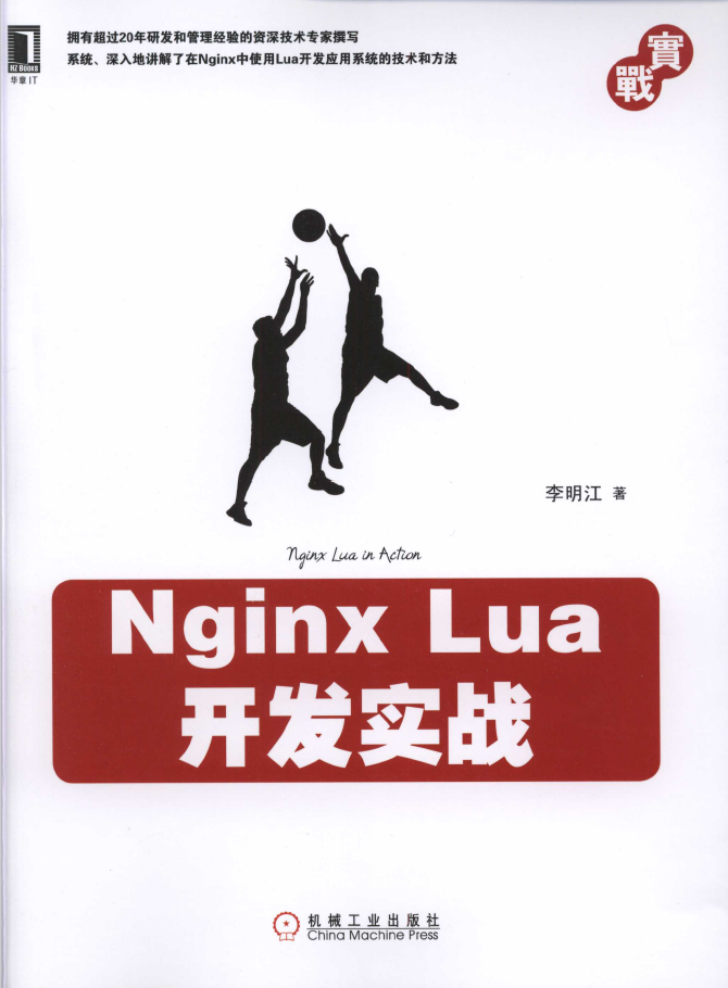 Web开发技术丛书 Nginx Lua开发实战  PDF下载插图