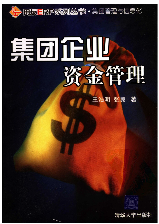 集团企业资金管理  PDF下载插图