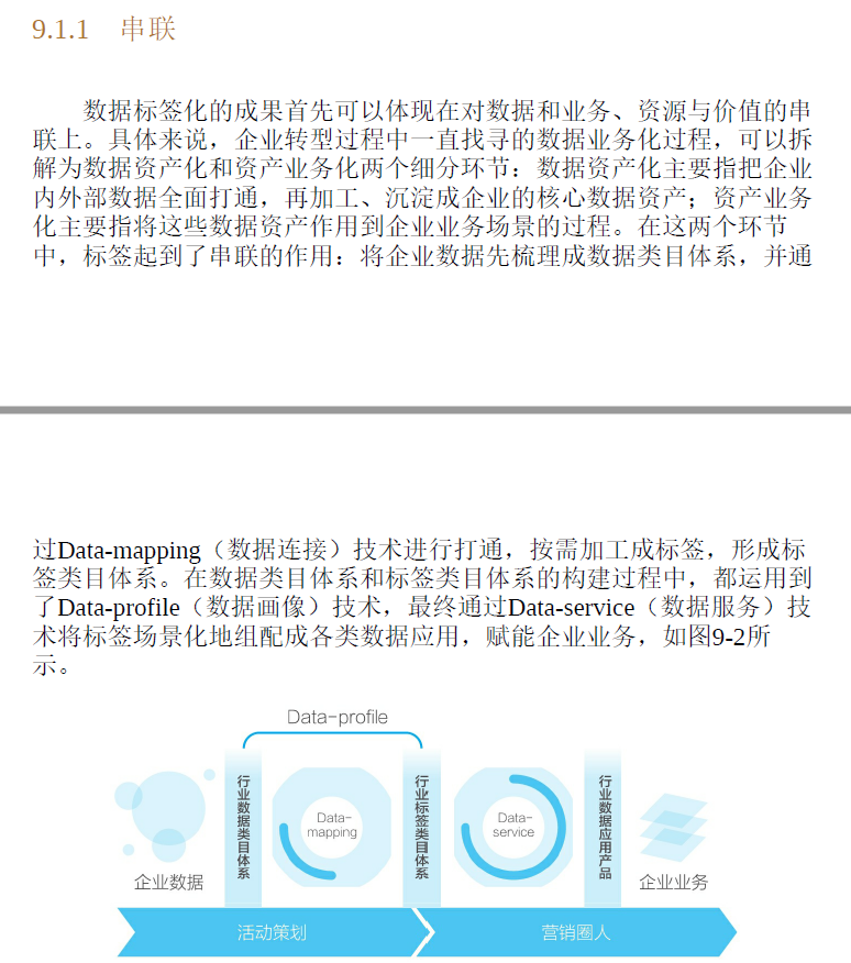 标签类目体系:面向业务的数据资产设计方法论  PDF下载插图2