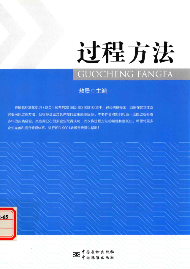 过程方法  PDF下载