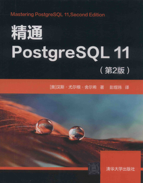 精通PostgreSQL 11 第2版 扫描版 PDF下载
